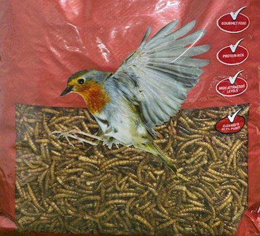 DRIED MEALWORMS FOR WILD BIRDS