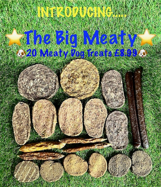 The Big Meaty Fast Food Favourites Treat Bag for Dogs 20 Meaty Treats