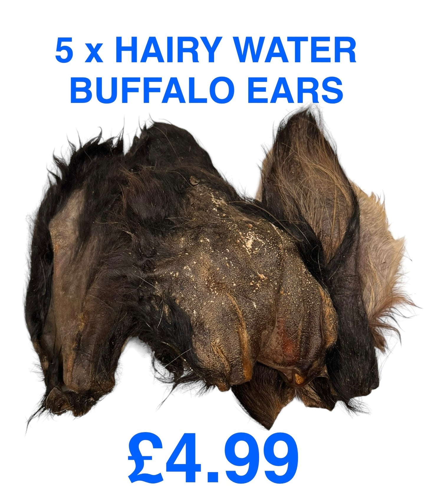 Hairy Water Buffalo Ears for Dogs Pack of 5