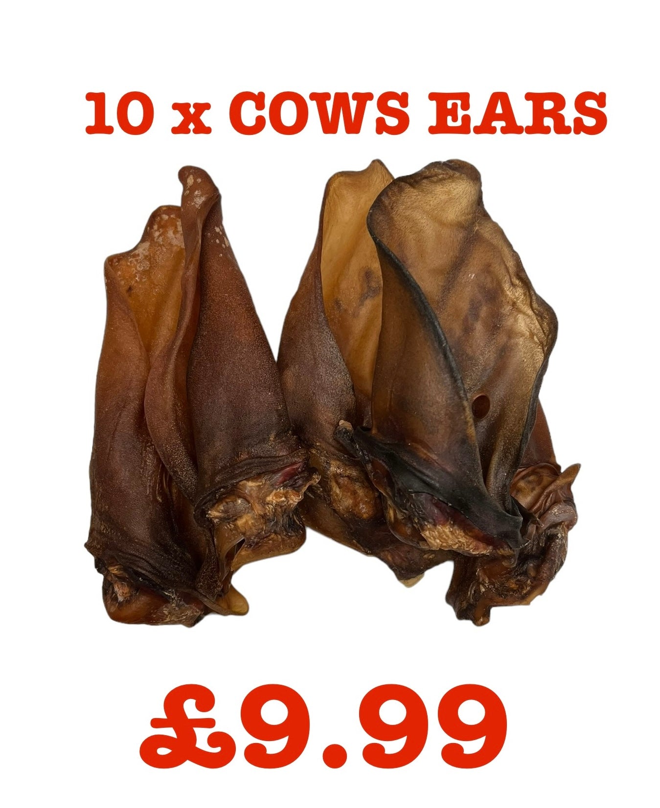 Cows Ears for Dogs Pack of 10