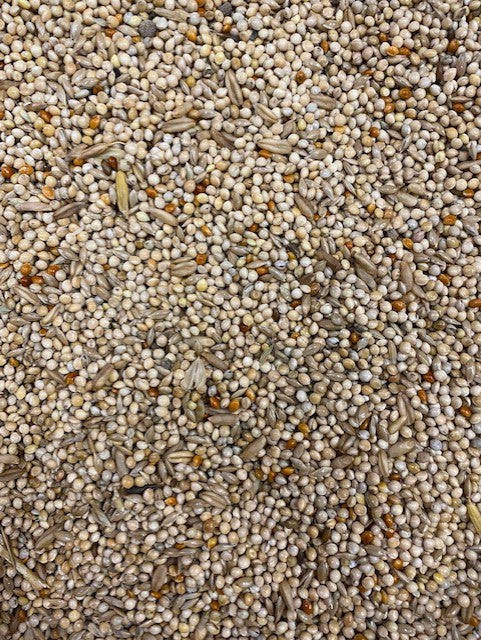 Colonels BBB Budgie Seed Mix