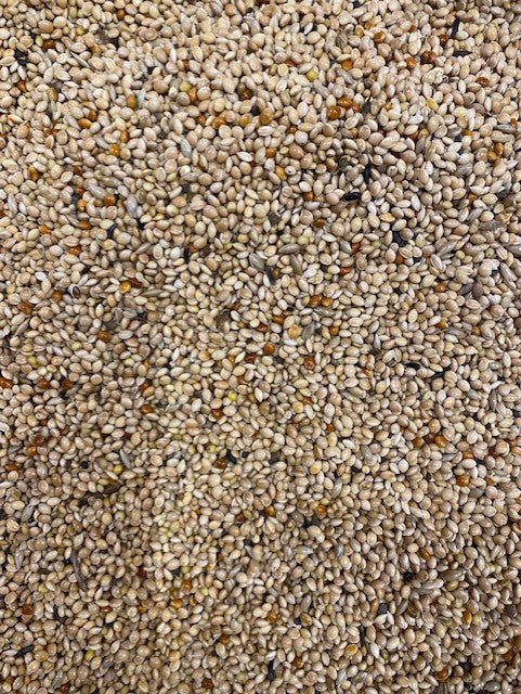 Colonels Foreign Finch Seed Mix