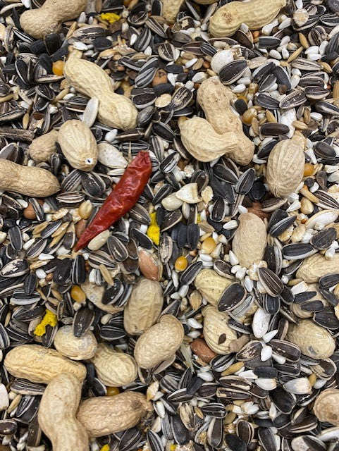 COLONELS PARROT FEAST MIX