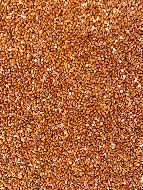 RED MILLET SEED FOR BIRDS